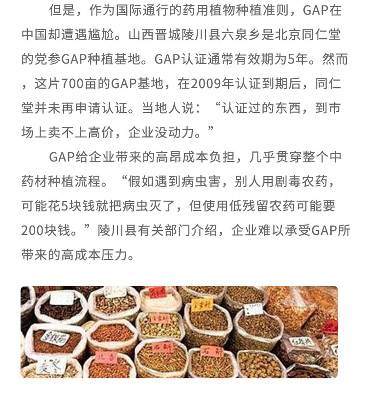 但是，作为国际通行的药用植物种植准则，GAP在中国却遭遇尴尬。山西晋城陵川县六泉乡是北京同仁堂的党参GAP种植基地。GAP认证通常有效期为5年。然而，这片700亩的GAP基地，在2009年认证到期后，同仁堂并未再申请认证。当地人说:“认证过的东西， 到市场上卖不.上高价，企业没动力。GAP给企业带来的高昂成本负担，几乎贯穿整个中药材种植流程。“假如遇到病虫害， 别人用剧毒农药，可能花5块钱就把病虫灭了，但使用低残留农药可能要200块钱。”陵川县有关部门介绍，企业难以承受GAP所带来的高成本压力。