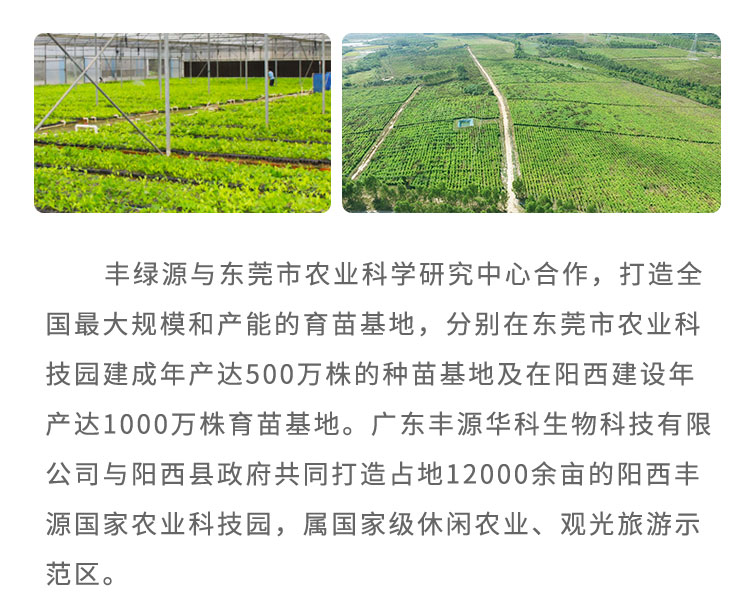 丰绿源-中医药种植